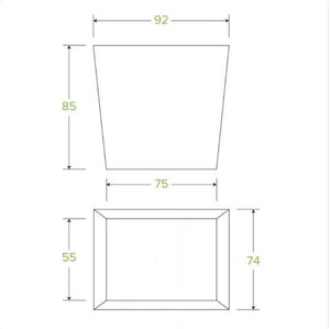 BIoPack Noodle Box16oz - Packware