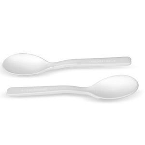 CPLA Tea Spoon 5'' , 2000pc/ctn - Packware