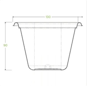 Takeaway Compostable Sugarcane Containers Base 21 - oz (White) - Packware